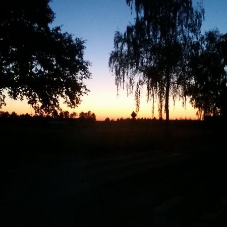 Entspannen & Wohlfuehlen In Der Lueneburger Heide Vierhofen Extérieur photo